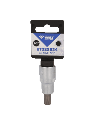 Socket Wrench Insert BT022934