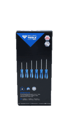 KS TOOLS BT031010 Screwdriver Set