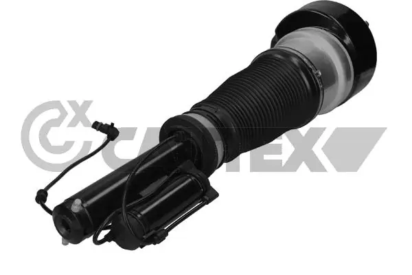 HELLA 1BL 007 834-037 Insert, headlight