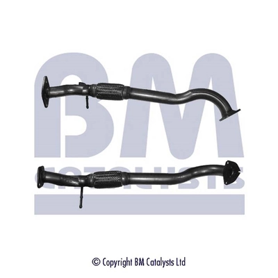 Exhaust Pipe BM50110