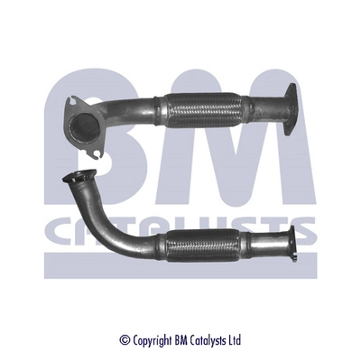 Exhaust Pipe BM50165