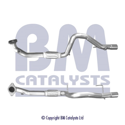 BM CATALYSTS BM50740 Asli