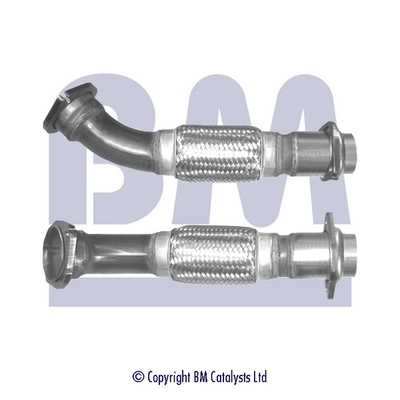 BM CATALYSTS BM70591 Genuine
