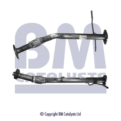 BM CATALYSTS BM50098 Оригинальный