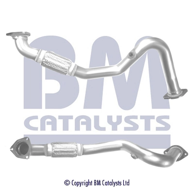 Exhaust Pipe BM50420