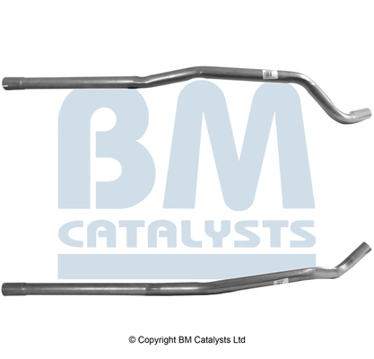 BM CATALYSTS BM50047 Genuine