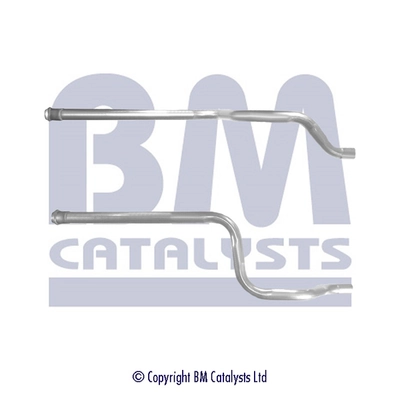 BM CATALYSTS BM50367 Original