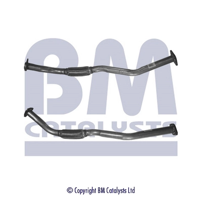 BM CATALYSTS BM50169 Оригинальный