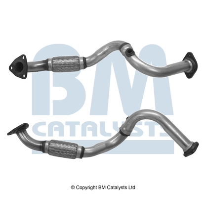 BM CATALYSTS BM50967 Asli