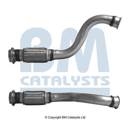 BM CATALYSTS BM50879 Asli