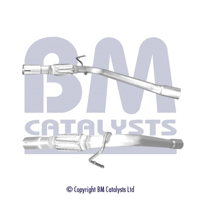 BM CATALYSTS BM50665 Оригинальный