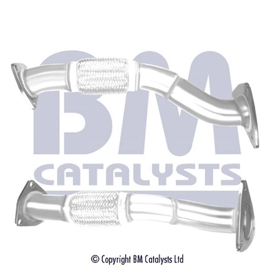 BM CATALYSTS BM50486 Original