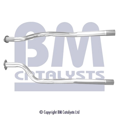 BM CATALYSTS BM50493 Original