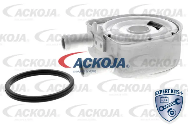 Oil Cooler, engine oil Original ACKOJA Quality A52-60-0010