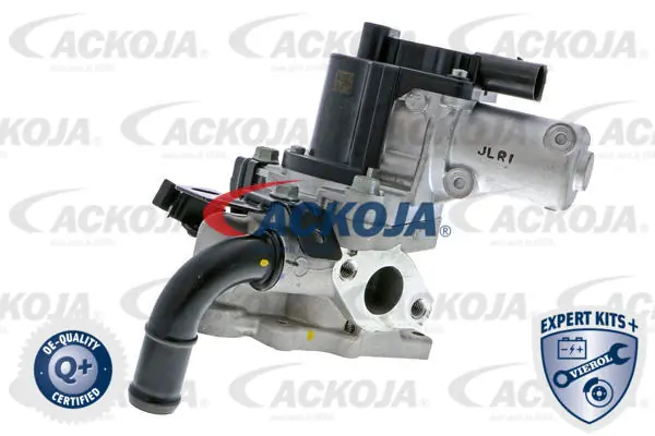 EGR Valve EXPERT KITS + A52-63-0013