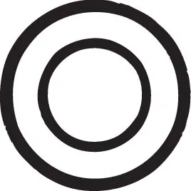 Spring Washer, exhaust system 258-117