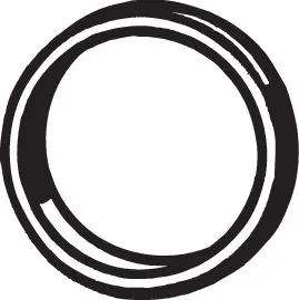 Gasket, exhaust pipe 256-428