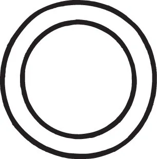 Gasket, exhaust pipe 256-518