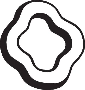 Rubber Strip, exhaust system 255-013