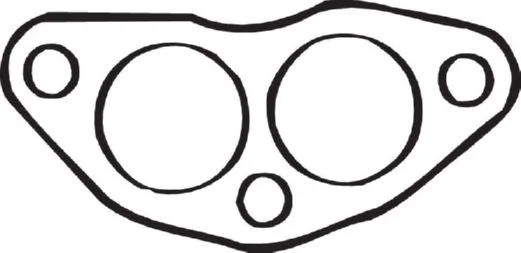 Gasket, exhaust pipe 256-044
