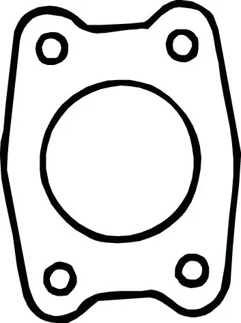 Gasket, exhaust pipe 256-750