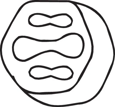 Rubber Strip, exhaust system 255-946