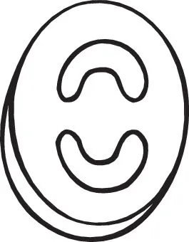 Rubber Strip, exhaust system 255-839