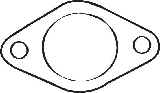 Gasket, exhaust pipe 256-556