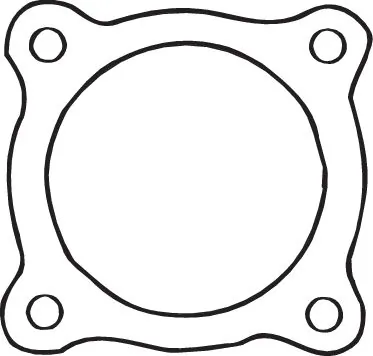 Gasket, exhaust pipe 256-069