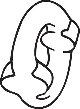 Rubber Strip, exhaust system 255-841