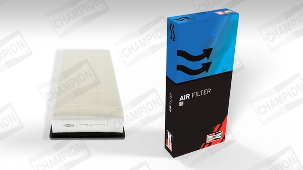 Air Filter CAF100634P