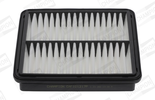 Air Filter CAF101217P