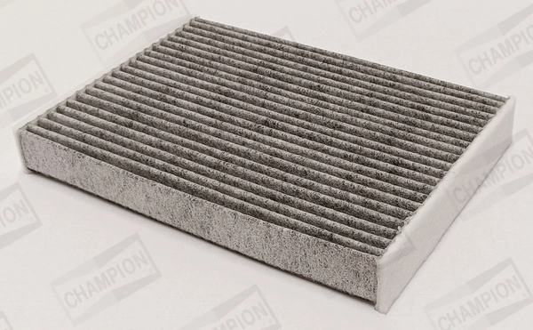 Filter, cabin air CCF0490C