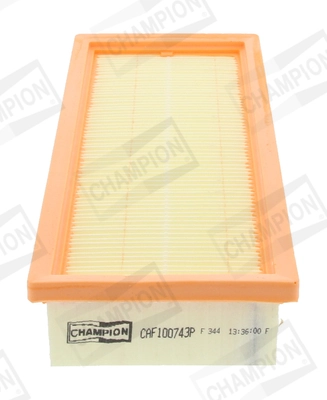 Air Filter CAF100743P