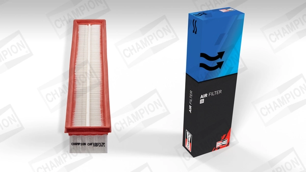 Air Filter CAF100717P
