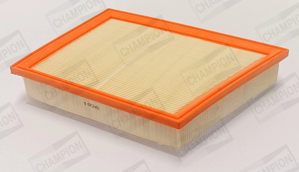 Air Filter CAF101358P