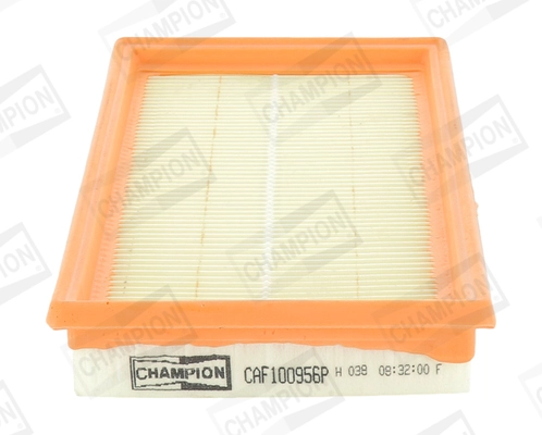 Air Filter CAF100956P