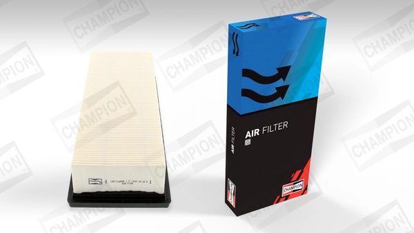 Air Filter CAF100859P