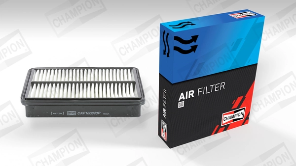 Air Filter CAF100843P