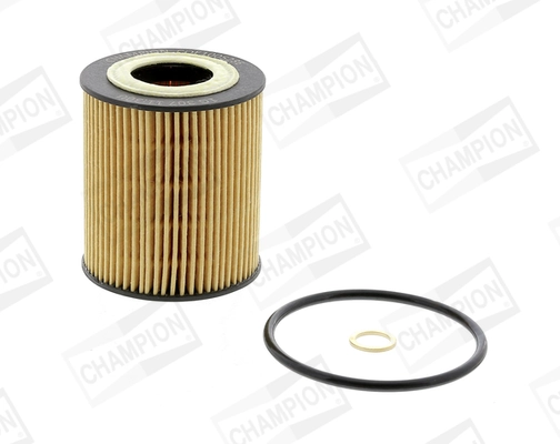 Oil Filter Ecological COF100528E