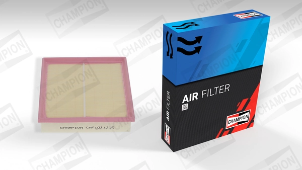 Air Filter CAF101111P