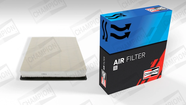 Air Filter CAF100770P