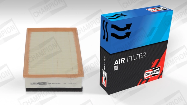 Air Filter CAF101078P