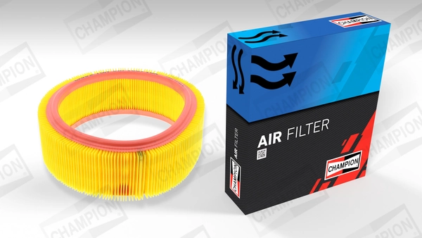 Luftfilter CAF100716R