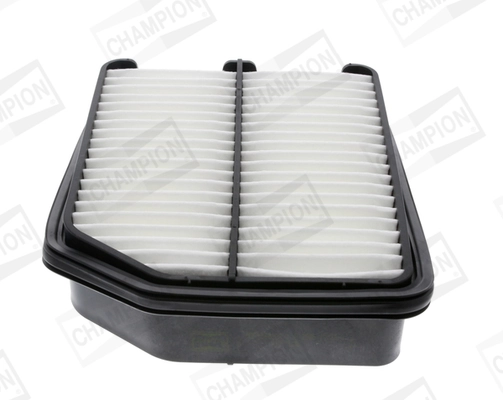 Air Filter CAF100882P