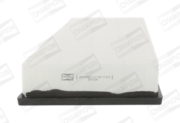 Air Filter CAF100758P