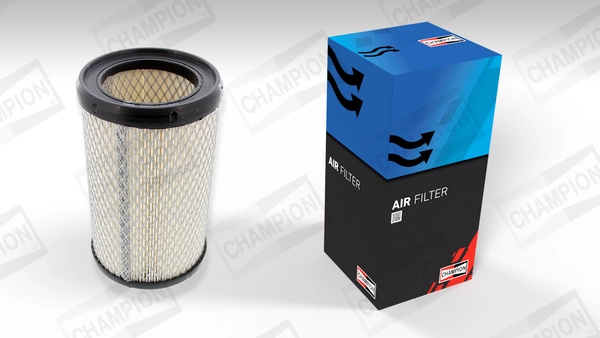 Air Filter CAF100434C