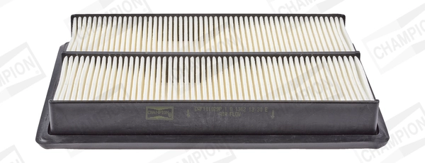Air Filter CAF101029P