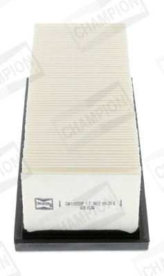 Air Filter CAF100720P