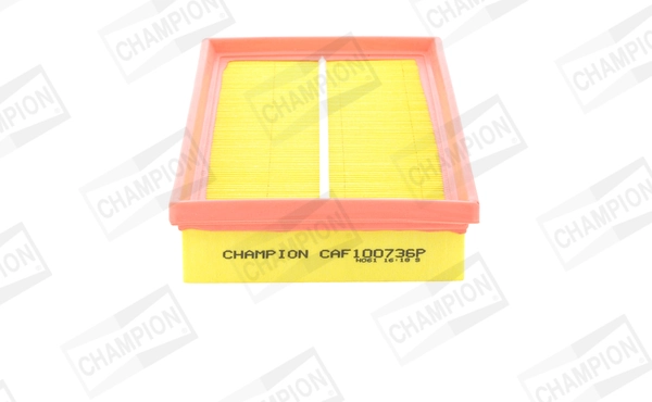 Air Filter CAF100736P